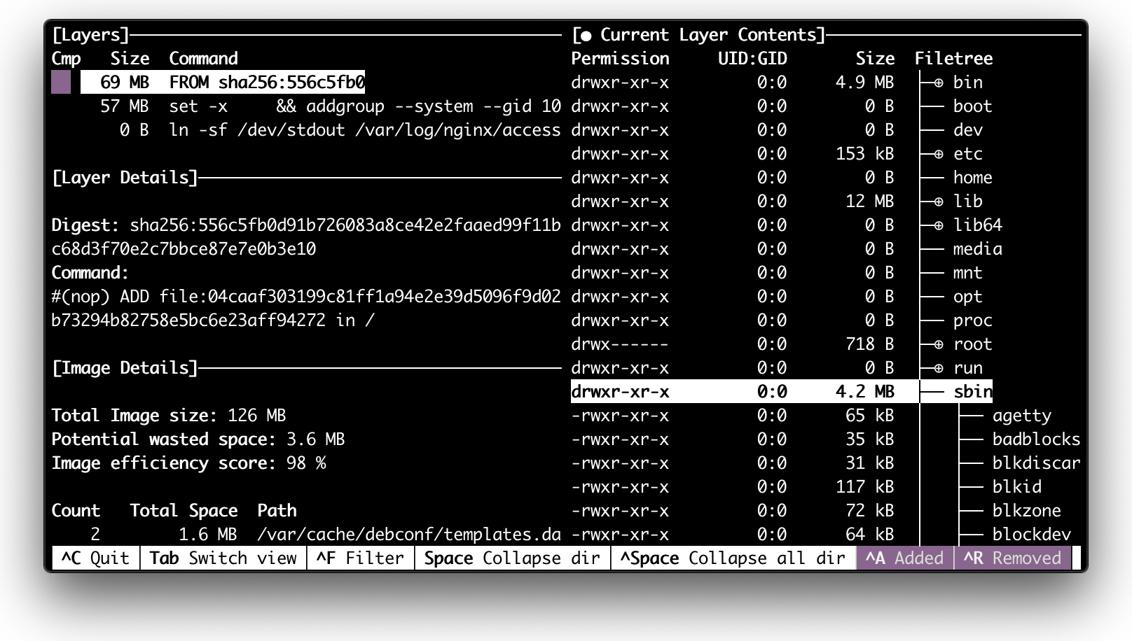 dive nginx - из чего состоит образ nginx