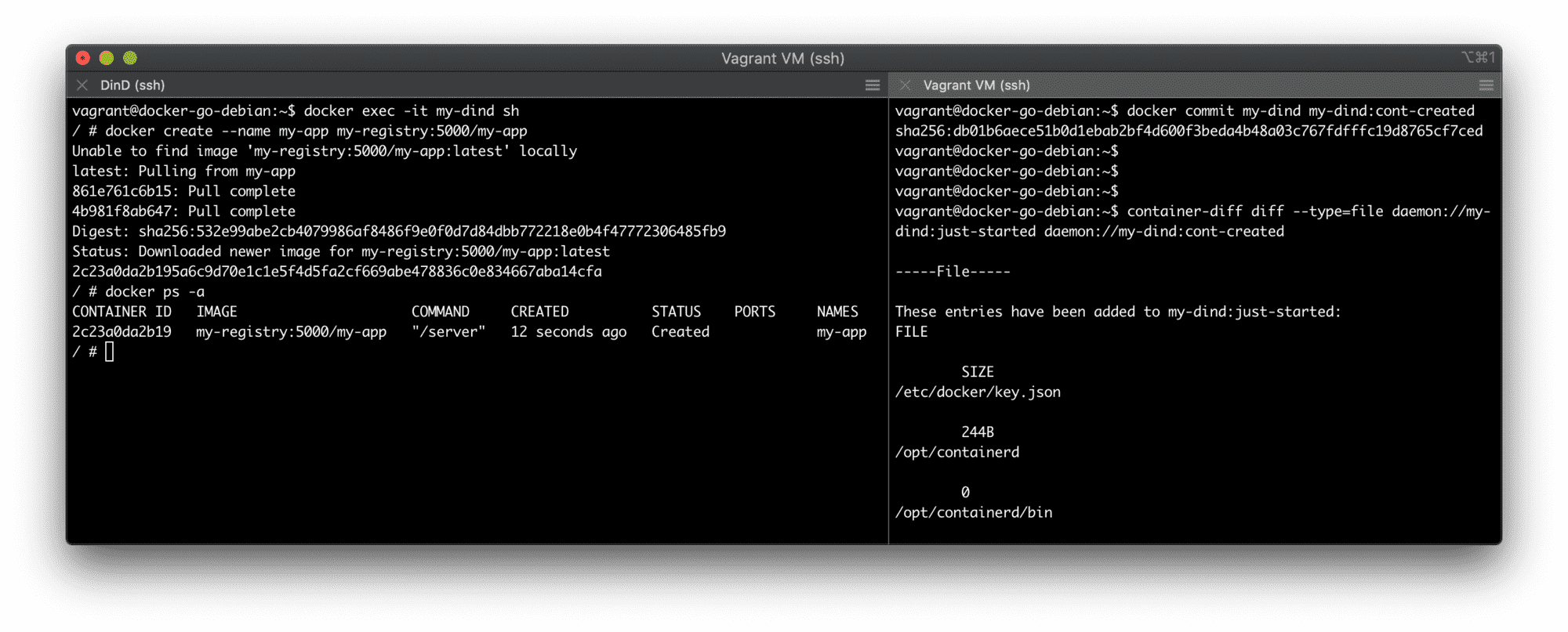 Exploring changes to the DinD container's filesystem.