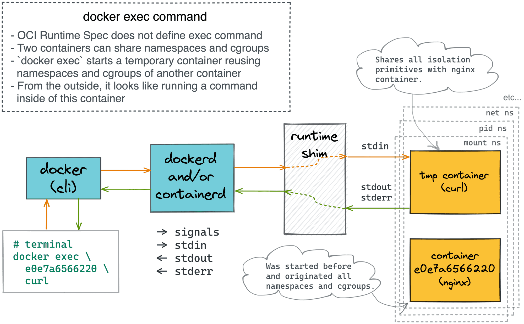 docker exec command visualized.