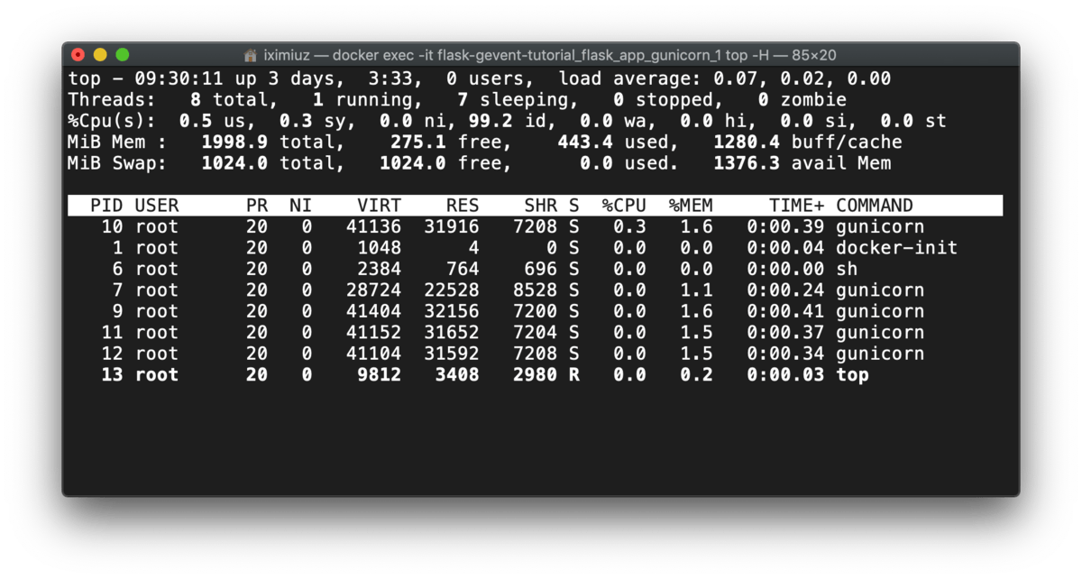 top -H output: flask + gunicorn - processes and threads (before test).