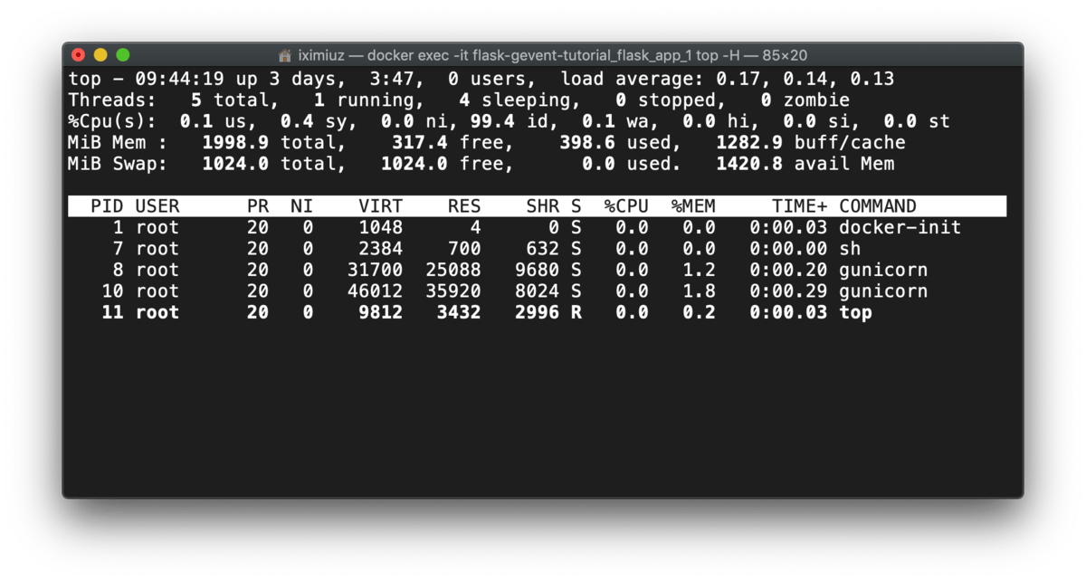 top -H output: flask + gunicorn + gevent - processes and threads (before test).