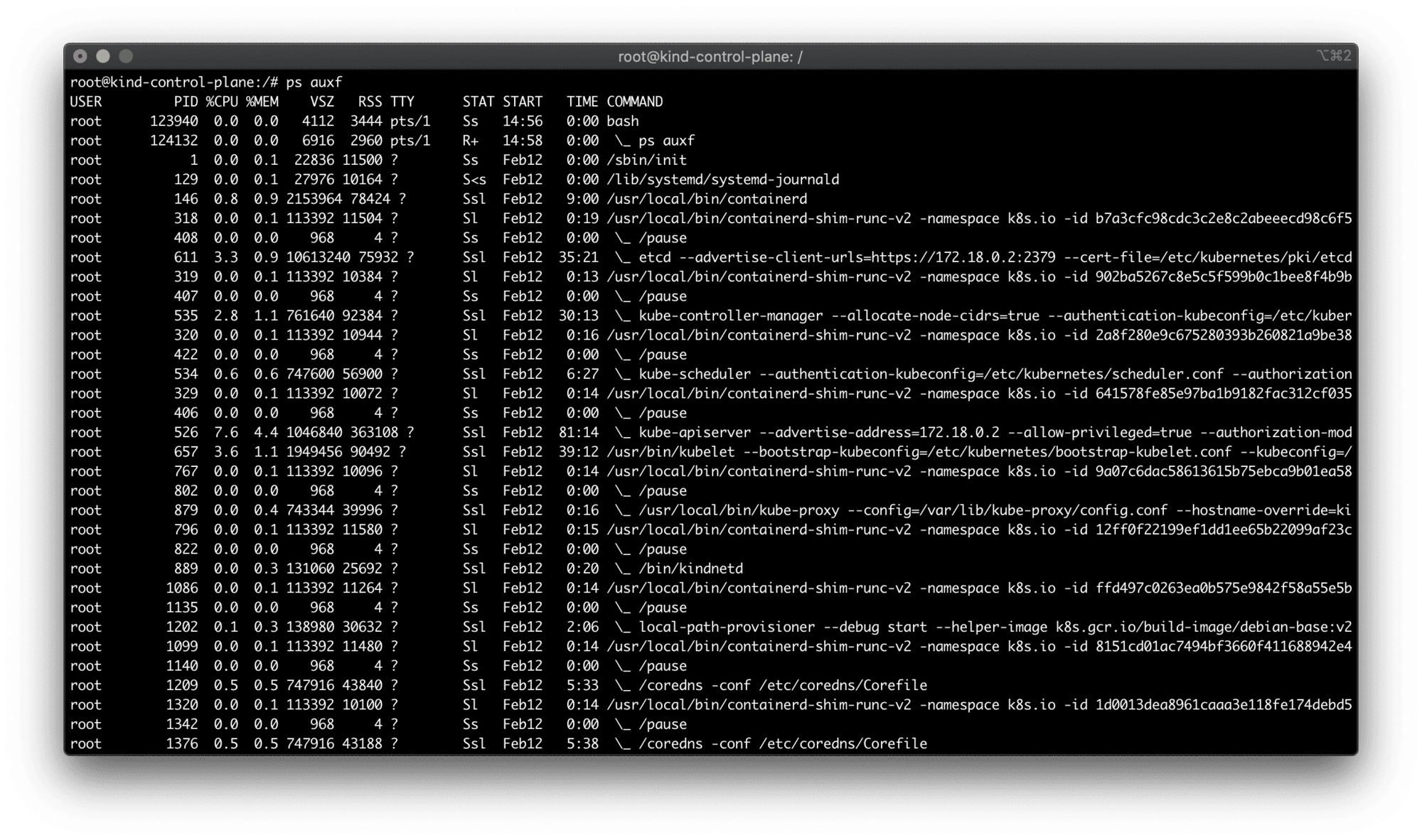 kind node processes