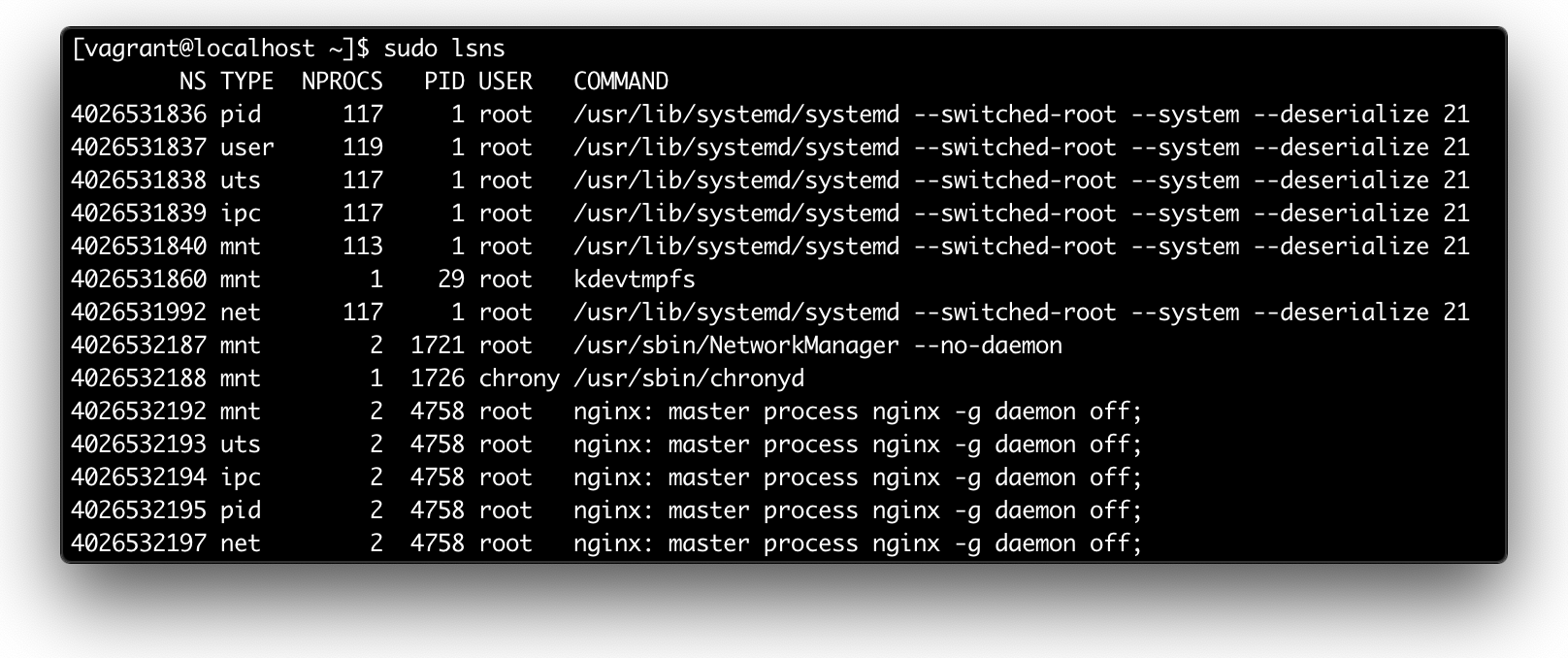 sudo lsns output