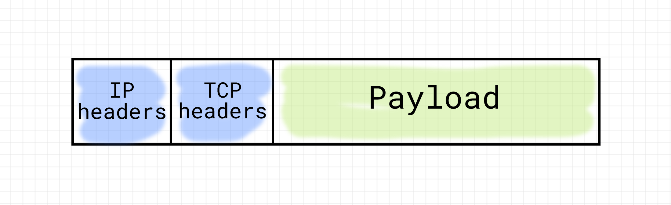 TCP segment encapsulated in IP packet